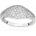 Silver Cat SC641