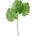 LIST MONSTERA 59CM