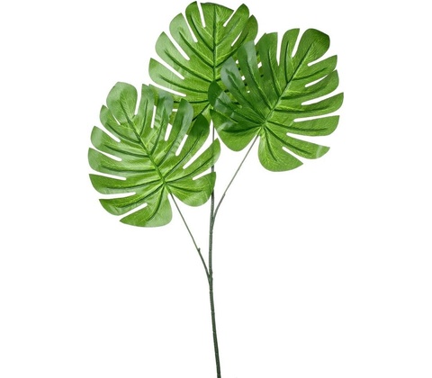 LIST MONSTERA 59CM