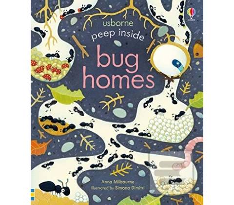 Peep Inside Bug Homes