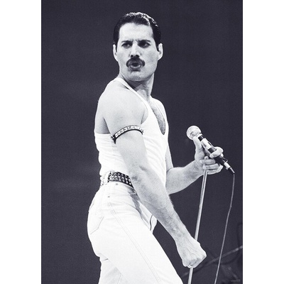 Plakát, Obraz - Freddie Mercury - Live Aid, 59.4 × 84.1 cm