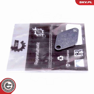 Súprava na opravu, ventil AGR ESEN SKV 14SKV541 14SKV541