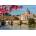 Dino - Puzzle Saint Peter's Basilica, Italia - 500 piese