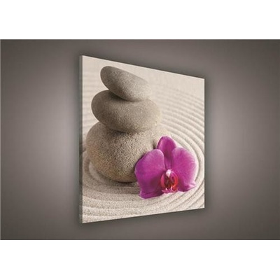 Obraz na plátně wellness orchidej 137O2, 80 x 80 cm, IMPOL TRADE