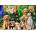 Castorland - Puzzle Puppies, Laundry and Bird Antics - 500 piese