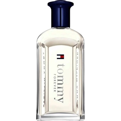Tommy Hilfiger Tommy Forever EDT 100 ml Tester