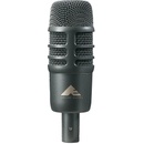 Audio-Technica AE2500