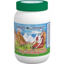 Everest Ayurveda Ajurvédsky bylinný elixír Chyawanprash 300 g