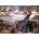 Enjoy - Puzzle Miranda in the Tempest - 1 000 piese