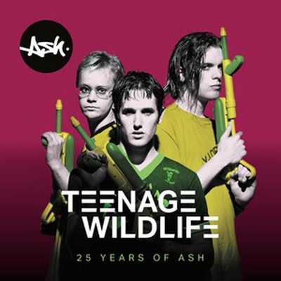 ASH - TEENAGE WILDLIFE - 25 YEARS OF ASH - 2VINYL ALBUM