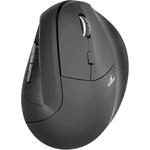 Bluestork M-WL-ERGO-LUMI-L