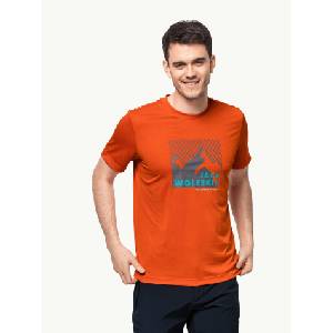 Jack Wolfskin Тениска hiking s/s graphic t m (1808761-3017)