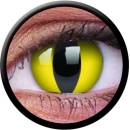 MaxVue Vision ColorVue Crazy Cat Eye šošovky trojmesačné dioptrické 2 ks