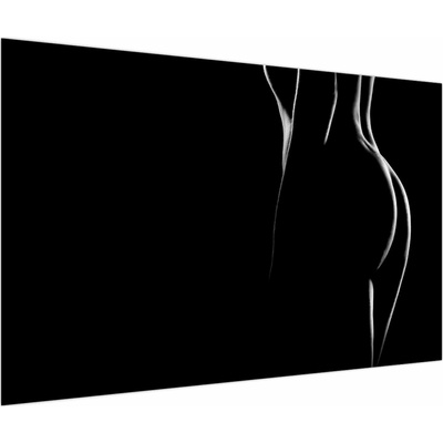Obraz - Silueta nahé ženy, jednodílný 120x80 cm
