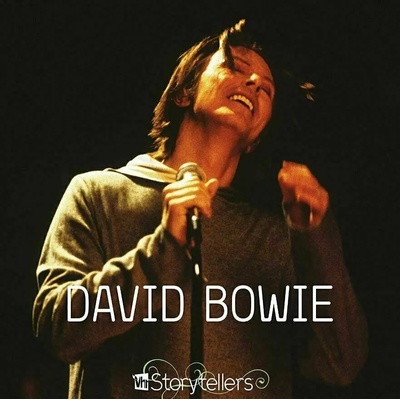 David Bowie - VH1 Storytellers (LP) (190295474096)