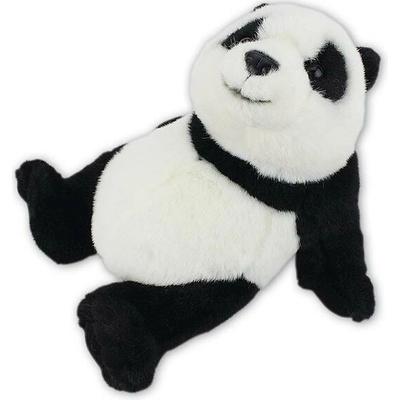 panda 23 cm