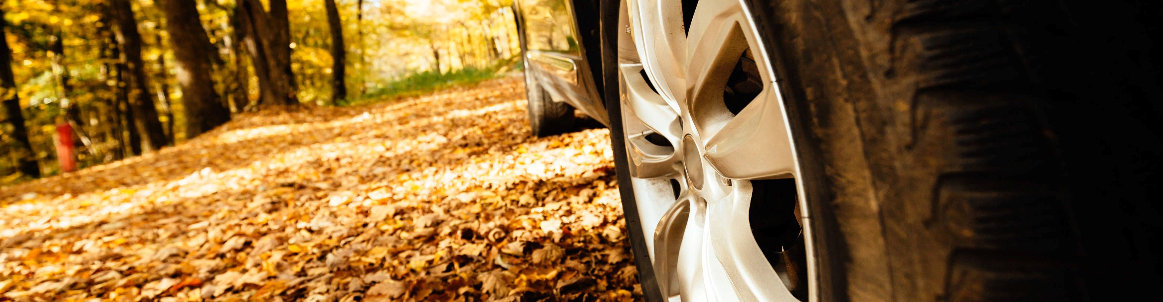 Prim-plan cu o anvelopă spate all-season pe un drum forestier acoperit cu frunze de toamnă