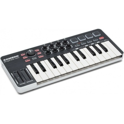 Samson Graphite M25
