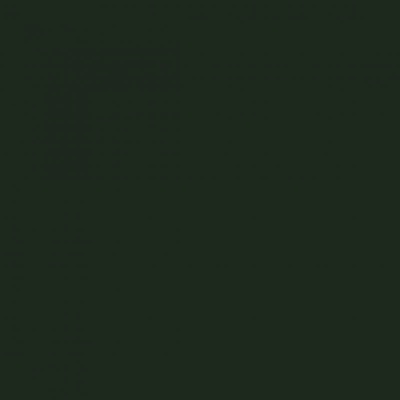 Derwent Procolour 48 Cedar Green