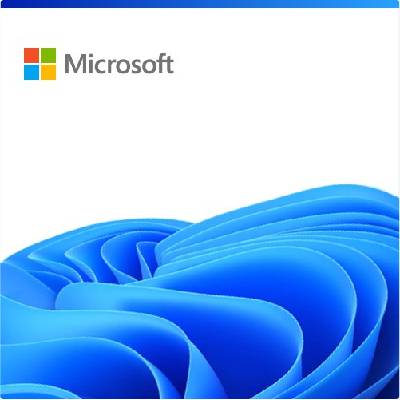 Microsoft Windows 11 Enterprise N LTSC 2024 Upgrade (DG7GMGF0PP45-0002)