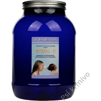 IV San Bernard mineral H 3 l