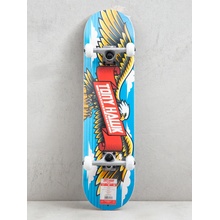 Tony Hawk Wingspan