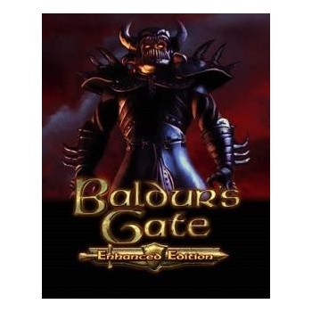 Baldurs Gate (Enhanced Edition)
