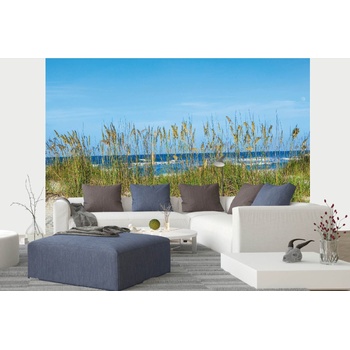 DIMEX ART s. r. o Самозалепваща се флизелинова фототапета трева на плажа 375 x 250 см