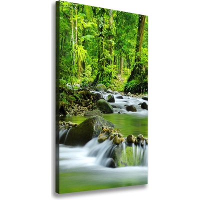 Vertikálny foto obraz canvas Horský potok 50x100 cm