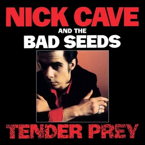 BMG Cave Nick and The Bad Seeds: Tender Prey - CD (032418)