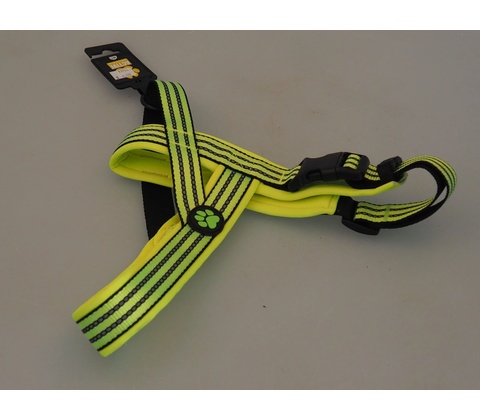 ACTIVE DOG postroj Neoprene