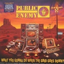 Public Enemy - What You Gonna Do When The Grid Goes Down LP