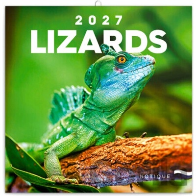 Ještěři nástěnný 2027