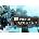 Strike Vector