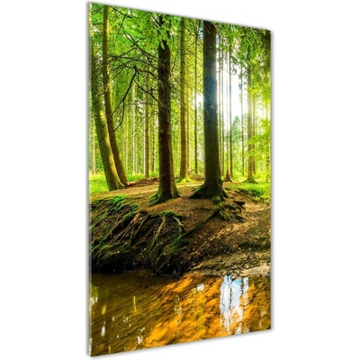Vertikálny foto obraz fotografie na skle Prameň v lese 50x100 cm