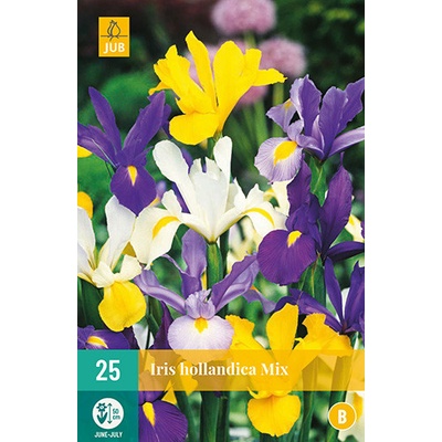 JUB HOLLAND Cibule kosatce Iris Hollandica MIX 25 kusů