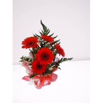 БУКЕТ ОТ ЧЕРВЕНИ ГЕРБЕРИ В ПИАФЛОРА