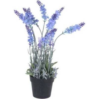 Home Styling Collection Úmělá lavendule v květináči, 40 cm, modrý vícebarevná