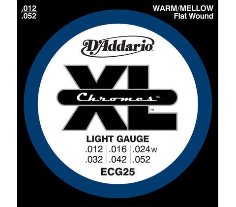 D'addario ECG25