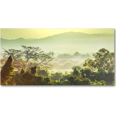 Fotoobraz na skle prales 100x50 cm