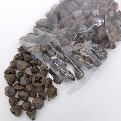 Eucalyptus pod 500 gramů - přírodní - SU1122