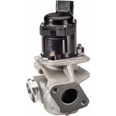 AGR - Ventil HELLA 6NU 010 171-121