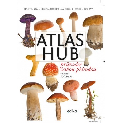 Atlas hub