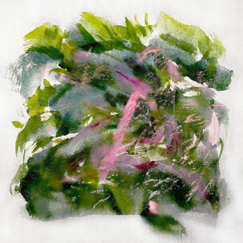 MIZU - FOREST SCENES LP