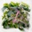 MIZU - FOREST SCENES LP