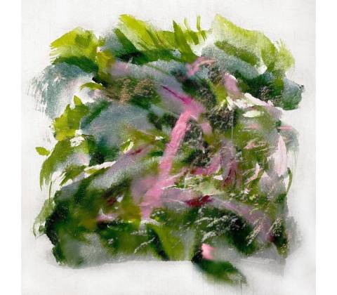 MIZU - FOREST SCENES LP
