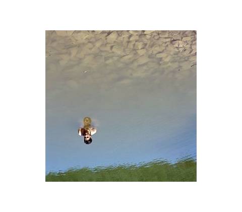NADINE - Oh My CD