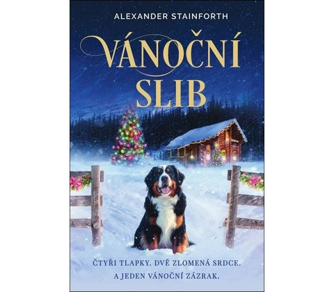 Vánoční slib