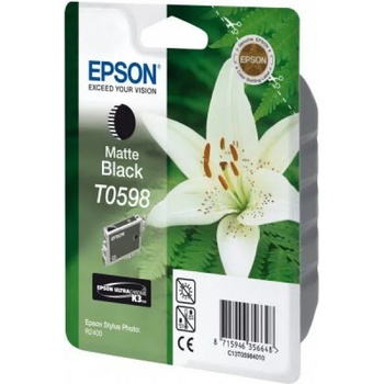 Epson T0598