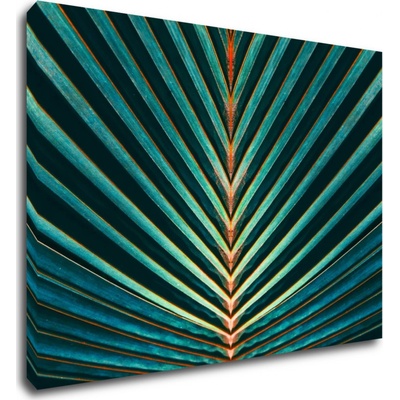 Impresi Obraz Palmový list - 70 x 50 cm